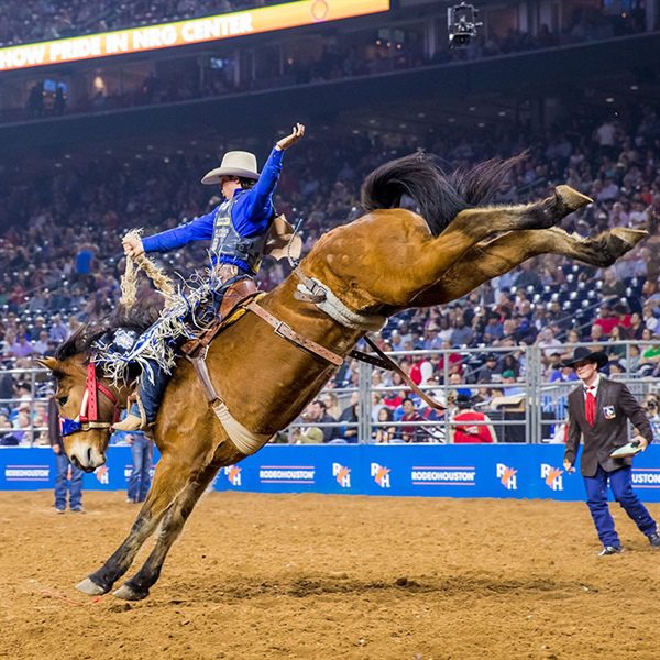 HOUSTON LIVESTOCK SHOW AND RODEO
