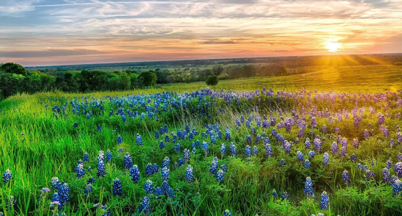 caption-r3v7bts9joacdldxkpb6dc0w5esrpmcteg2gc75jdk