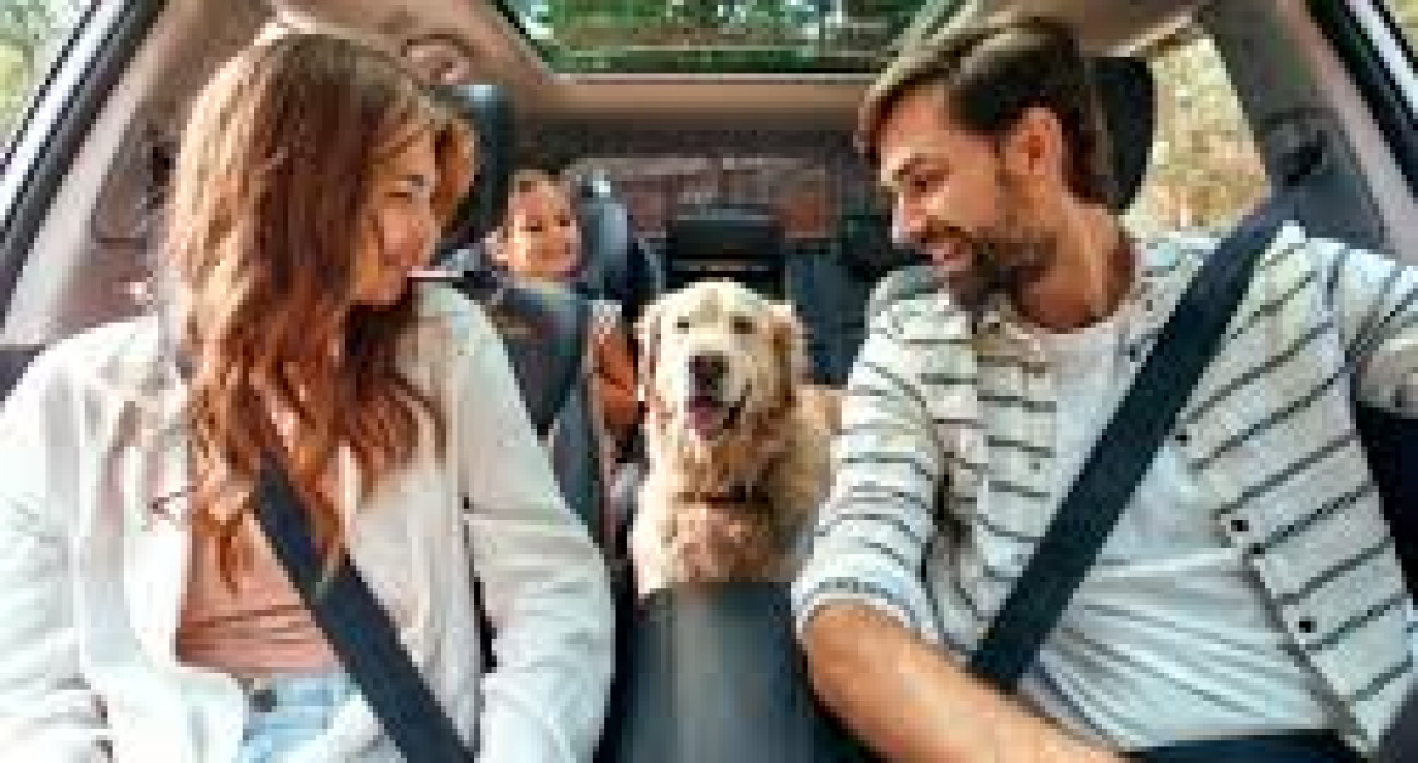 images (44) images (44)