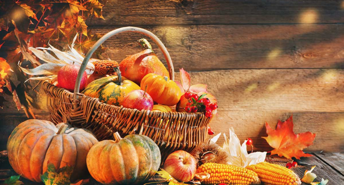 thanksgiving-los-angeles thanksgiving-los-angeles